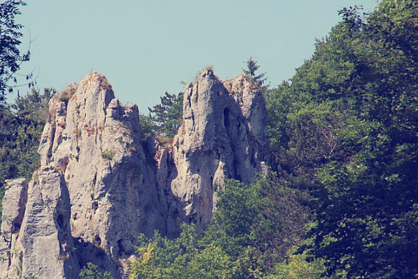 t-서대산 t-서대산